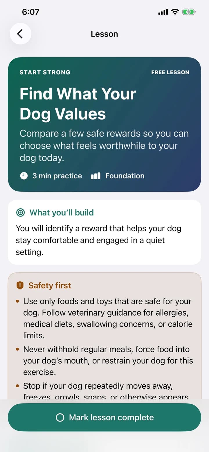 TrainerLoop guided dog training lesson with steps and safety tips