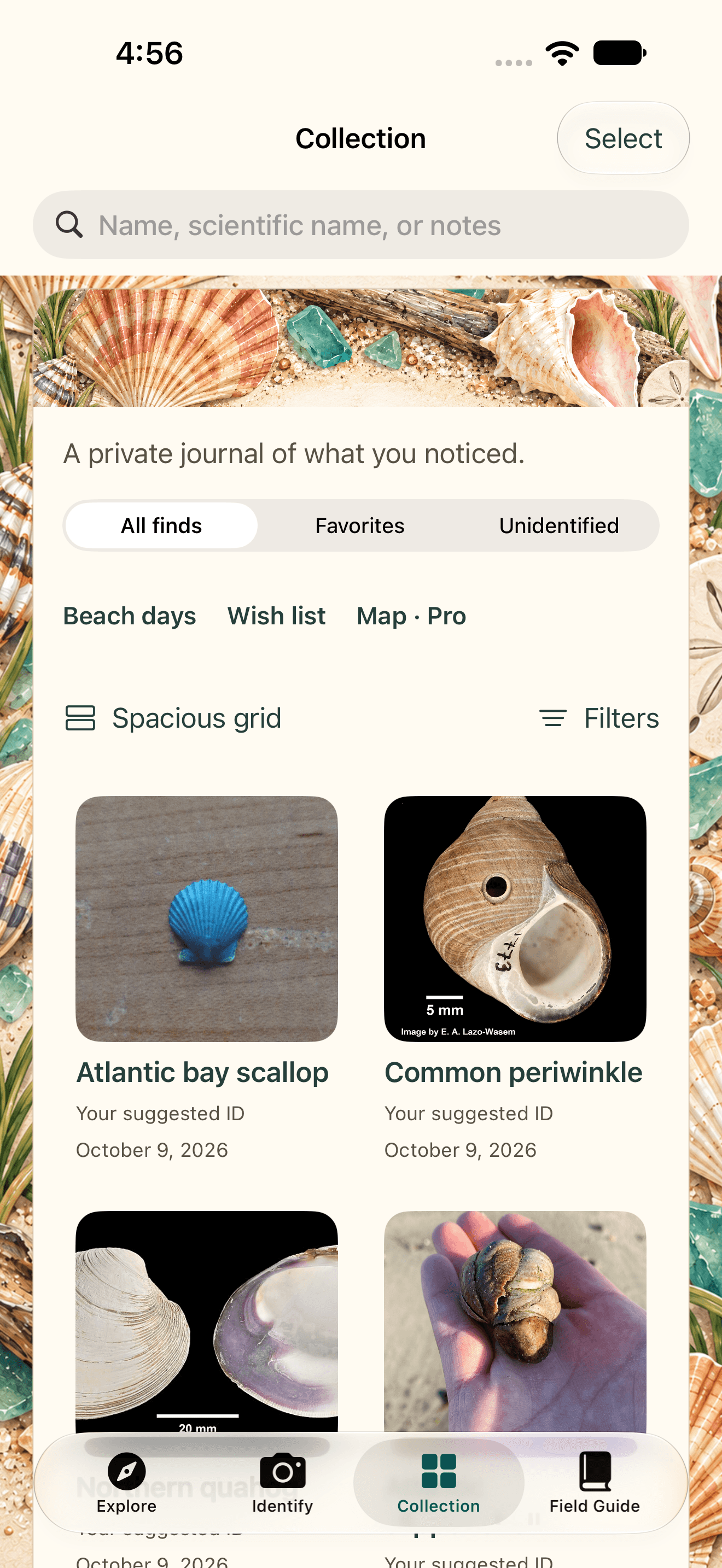 Actual collection screen showing a licensed example journal of shell photographs