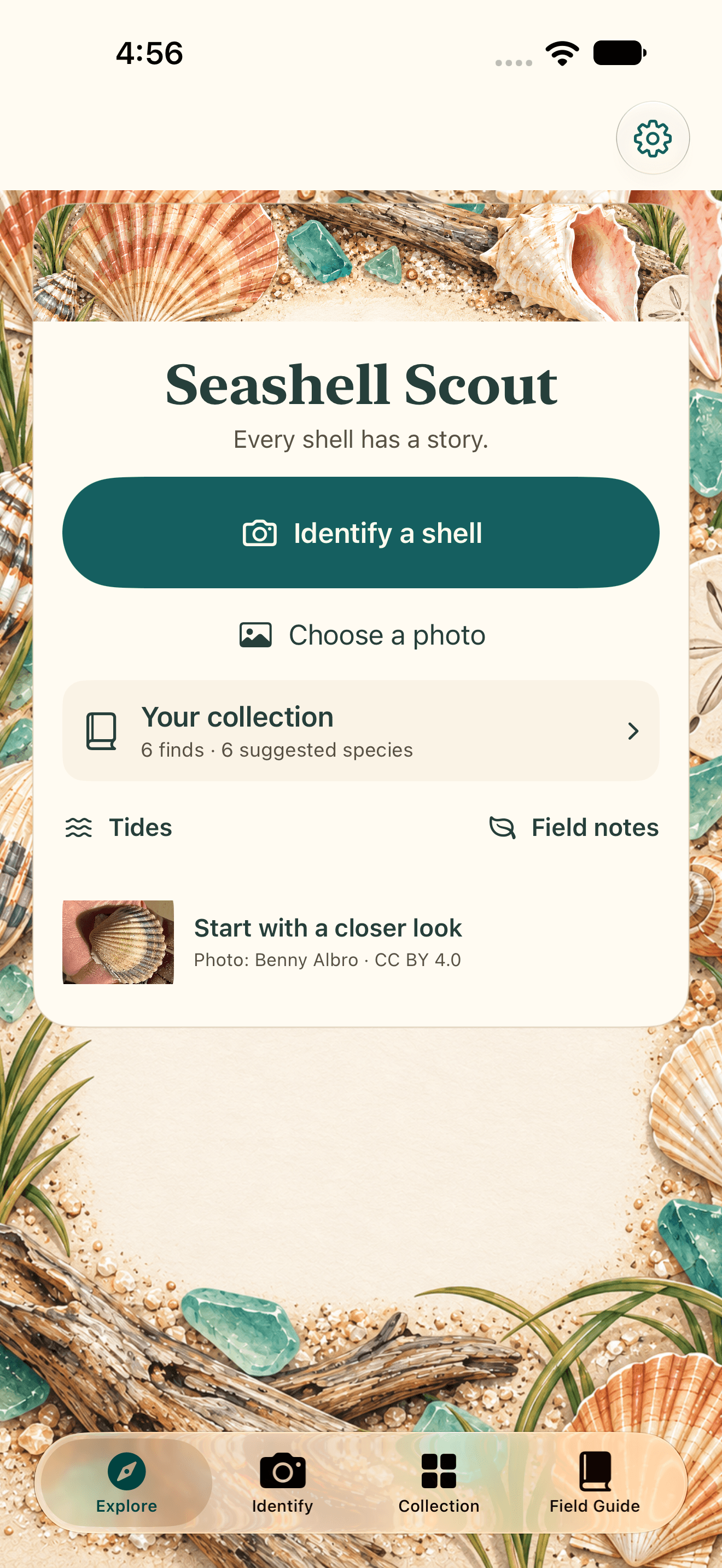 Actual Seashell Scout home screen with coastal shell artwork and photo, collection and tide actions